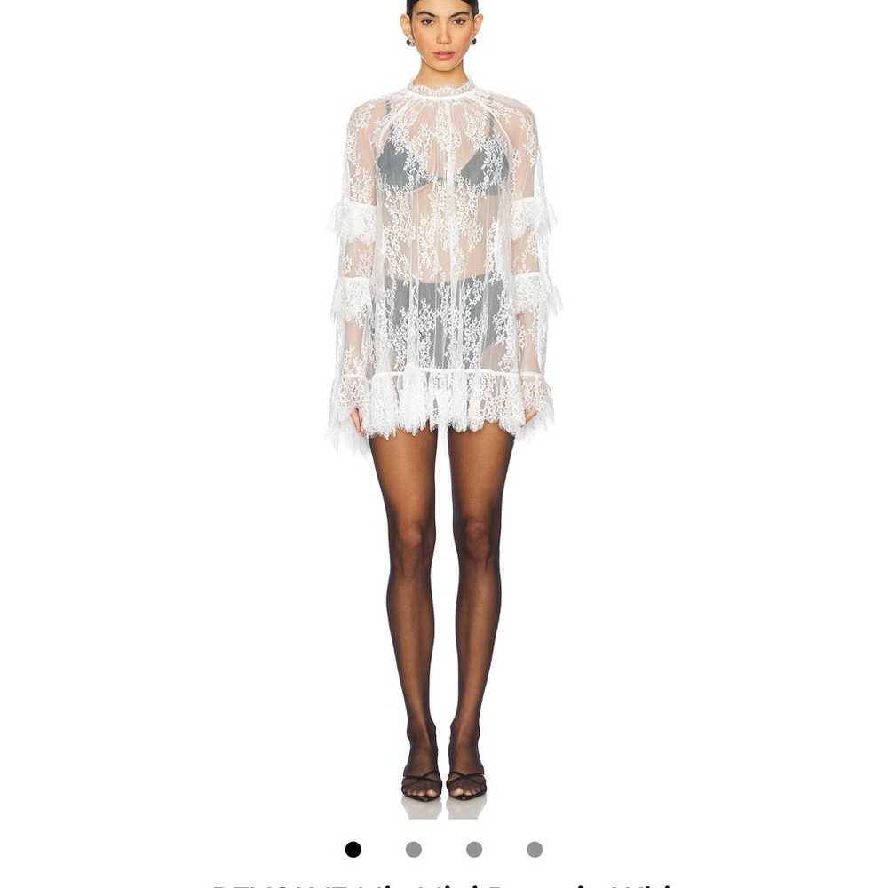 Stone Cold Fox White Lace Sheer Mini Dress